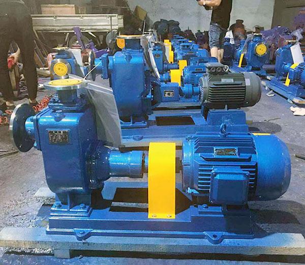 BZ Series Horizontal Self-Priming Pump 2
